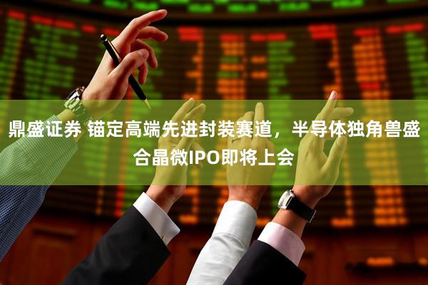 鼎盛证券 锚定高端先进封装赛道，半导体独角兽盛合晶微IPO即将上会