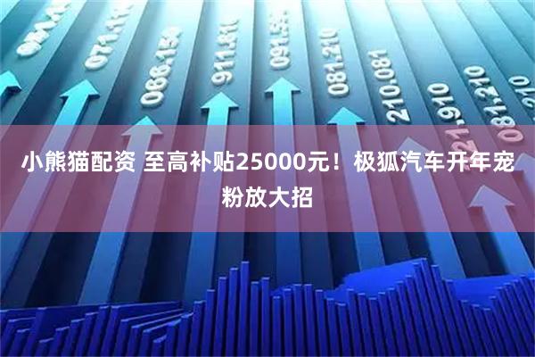 小熊猫配资 至高补贴25000元！极狐汽车开年宠粉放大招