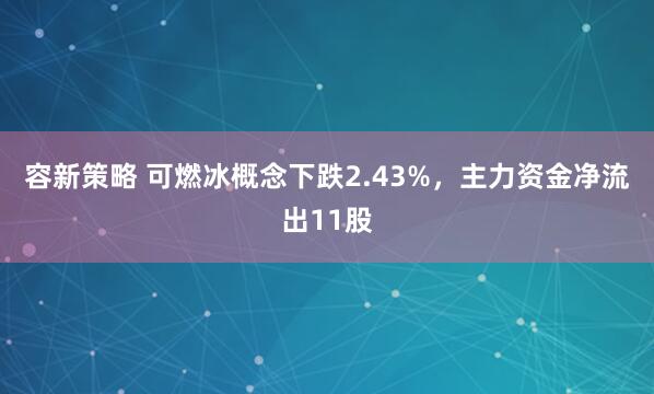 容新策略 可燃冰概念下跌2.43%，主力资金净流出11股