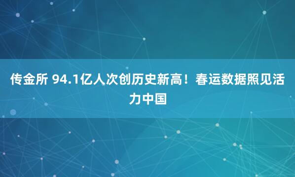 传金所 94.1亿人次创历史新高！春运数据照见活力中国