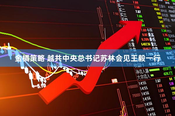 金橘策略 越共中央总书记苏林会见王毅一行