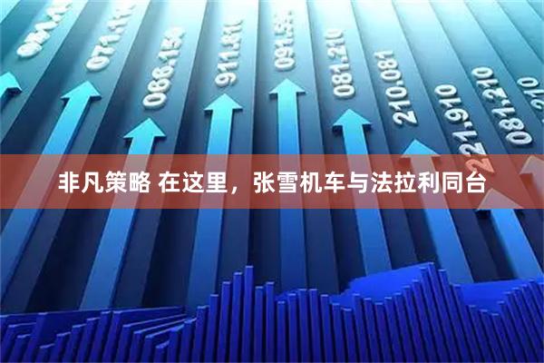 非凡策略 在这里，张雪机车与法拉利同台