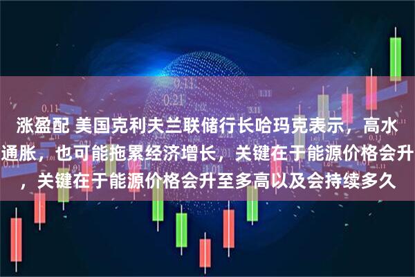 涨盈配 美国克利夫兰联储行长哈玛克表示，高水平的能源价格可能引发通胀，也可能拖累经济增长，关键在于能源价格会升至多高以及会持续多久