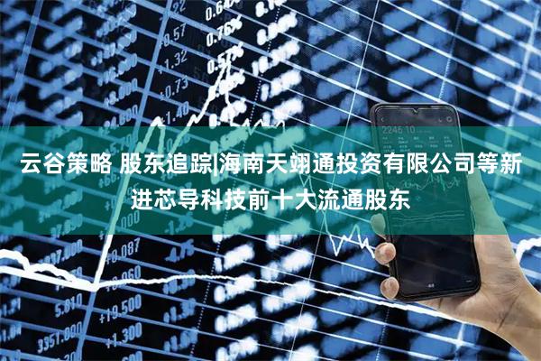 云谷策略 股东追踪|海南天翊通投资有限公司等新进芯导科技前十大流通股东
