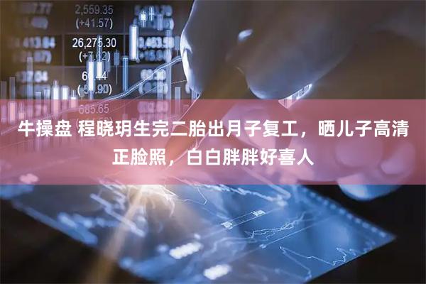牛操盘 程晓玥生完二胎出月子复工，晒儿子高清正脸照，白白胖胖好喜人