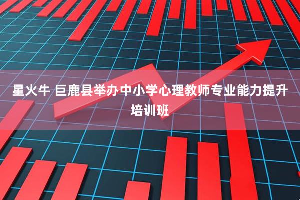星火牛 巨鹿县举办中小学心理教师专业能力提升培训班