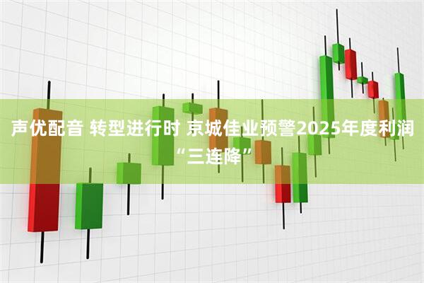 声优配音 转型进行时 京城佳业预警2025年度利润“三连降”