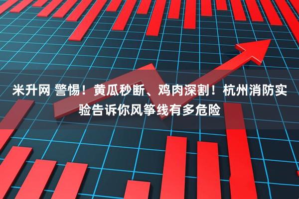 米升网 警惕!黄瓜秒断、鸡肉深割!杭州消防实验告诉你风筝线有多危险