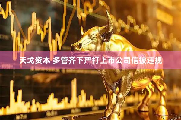 天戈资本 多管齐下严打上市公司信披违规
