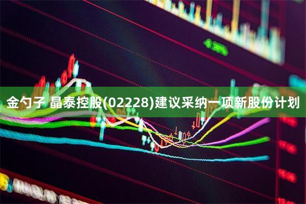 金勺子 晶泰控股(02228)建议采纳一项新股份计划