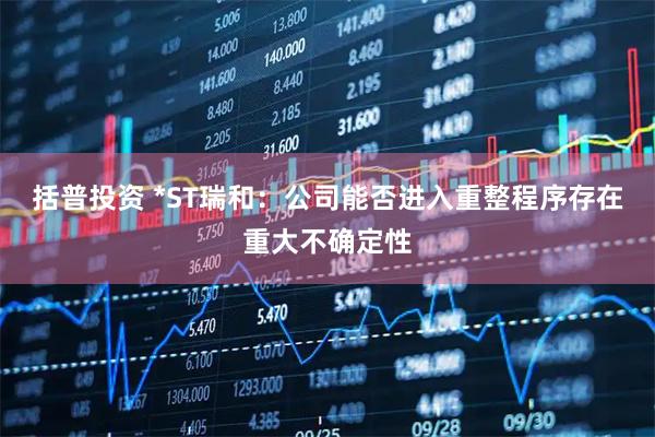 括普投资 *ST瑞和：公司能否进入重整程序存在重大不确定性