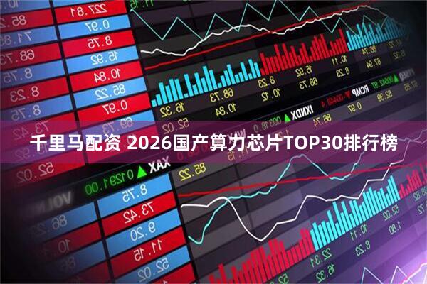 千里马配资 2026国产算力芯片TOP30排行榜