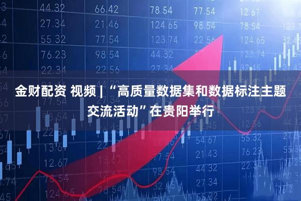 金财配资 视频 | “高质量数据集和数据标注主题交流活动”在贵阳举行